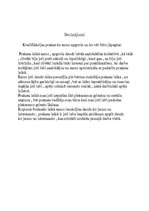 Prakses atskaite 'Prakses atskaite. Uzņēmuma raksturojums', 6.