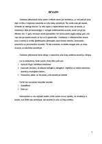 Referāts 'Ortodontija', 3.