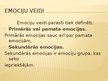 Prezentācija 'Emocijas', 18.