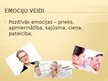 Prezentācija 'Emocijas', 20.