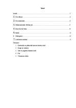 Referāts 'Jaunpils romānikas stila pils', 19.