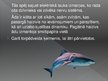 Prezentācija 'Haizivis', 5.