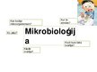 Prezentācija 'Mikrobioloģija', 2.