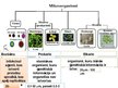 Prezentācija 'Mikrobioloģija', 8.