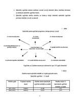 Referāts 'Invalīdi, viņu tiesības un iespējas', 12.