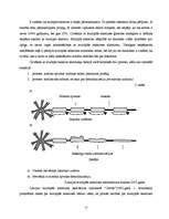Referāts 'Invalīdi, viņu tiesības un iespējas', 18.