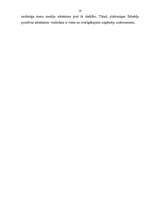 Referāts 'Uzņēmuma iekšējās un ārējās vides analīze', 10.