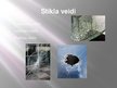 Prezentācija 'Stikls', 6.