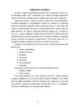 Referāts 'SIA "Lobess"', 3.