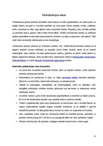 Referāts 'Globalizācijas būtība, cēloņi un sekas', 19.