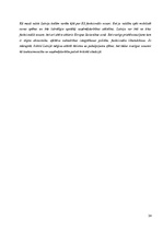 Referāts 'Globalizācijas būtība, cēloņi un sekas', 24.