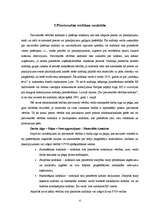 Referāts 'Pievienotās vērtības nodoklis', 4.