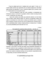 Referāts 'Ugunsdrošības risku apdrošināšana, problēmas un risinājumi', 17.