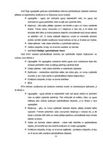 Referāts 'Ugunsdrošības risku apdrošināšana, problēmas un risinājumi', 19.