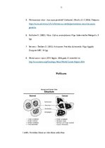 Referāts 'Vēža ģenētiskie un bioķīmiskie aspekti', 11.