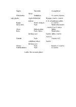 Referāts 'Vēža ģenētiskie un bioķīmiskie aspekti', 12.