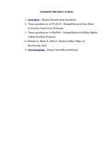 Referāts 'Eiropas Kopienu tiesas sprieduma ietekme uz Eiropas tiesībām', 9.