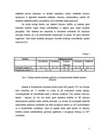 Referāts 'Lidojuma drošība gaisa satiksmes vadībā, izmantojot esošus navigācijas līdzekļus', 7.