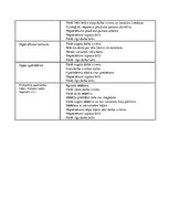 Konspekts 'Biroja tehniskais nodrošinājums', 50.