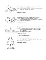 Konspekts 'Biroja tehniskais nodrošinājums', 52.