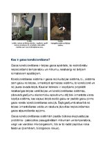 Konspekts 'Biroja tehniskais nodrošinājums', 81.