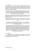 Konspekts 'Brāļi Kaudzītes. Romāna "Mērnieku laiki" 2.daļas 2.nodaļas analīze', 4.