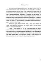 Referāts 'Zīmju valoda. Nedzirdība un sabiedrība', 5.