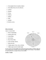 Konspekts 'Dantes darba "Dievišķā komēdija" konspekts', 3.