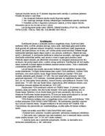 Konspekts 'Elektroniskie norēķini', 5.