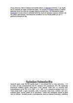 Referāts 'Spānija', 6.