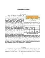 Referāts 'Kokmateriālu grīdas', 5.