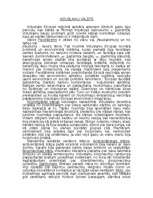 Eseja 'Viduslaiku valstis', 1.