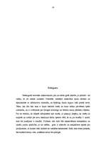 Referāts 'Videi nodarītie zaudējumi, kas radušies sakarā ar koku patvaļīgu ciršanu', 29.