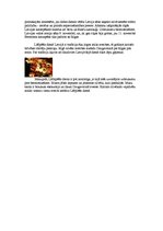 Eseja 'Lāčplēša diena', 3.