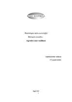 Eseja 'Agresīva auto vadīšana', 1.