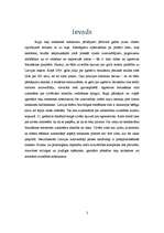 Eseja 'Agresīva auto vadīšana', 2.