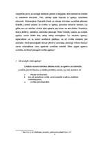 Eseja 'Agresīva auto vadīšana', 4.