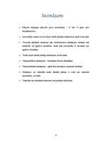 Eseja 'Agresīva auto vadīšana', 12.