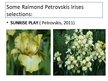 Prezentācija 'Irises Selection in Latvia', 7.