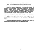 Referāts 'AS "Liepājas metalurgs" finansiālā stāvokļa analīze', 3.