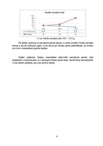 Referāts 'AS "Liepājas metalurgs" finansiālā stāvokļa analīze', 13.