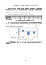 Referāts 'AS "Liepājas metalurgs" finansiālā stāvokļa analīze', 14.