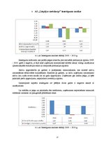 Referāts 'AS "Liepājas metalurgs" finansiālā stāvokļa analīze', 17.