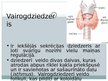 Prezentācija 'Vairogdziedzera patoloģiskā fizioloģija, hipotireoze', 2.