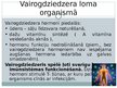 Prezentācija 'Vairogdziedzera patoloģiskā fizioloģija, hipotireoze', 4.