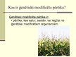 Prezentācija 'Ģenētiski modificēta pārtika', 2.