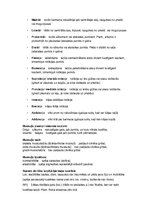 Konspekts 'Dejas anatomijas eksāmena atbildes', 1.