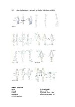 Konspekts 'Dejas anatomijas eksāmena atbildes', 2.