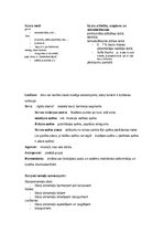 Konspekts 'Dejas anatomijas eksāmena atbildes', 3.