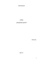 Referāts 'Ideogrāfiskā rakstība', 1.